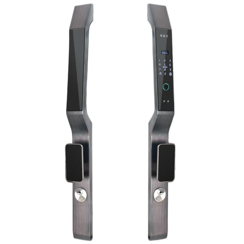 Smart Door Lock for Villa Main Entrance Double Doors with Face Recognition Intercom Surveillance Fingerprint Password