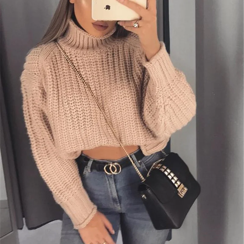 Turtleneck Sweaters Women Casual Loose Jumper Long Sleeve Knitted Tops Pullover Autumn Winter Oversized Women's Sweaters Purple