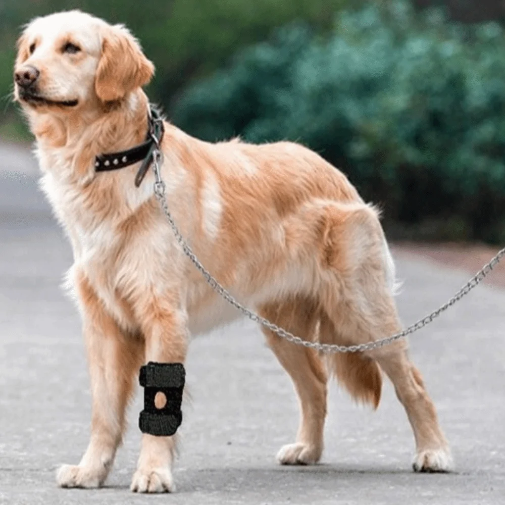 

Adjustable Pet Joint Protection Covers Breathable Rear Leg Brace Dog Arthritis Protector Comfortable Dog Knee Brace