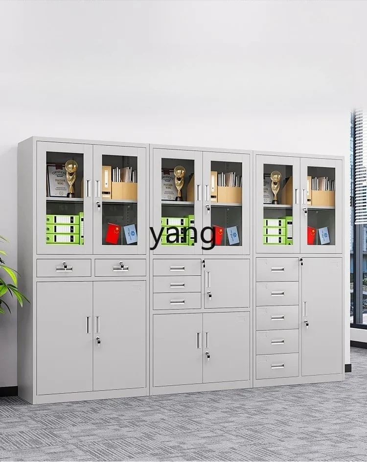 LMMM Steel Sheet File Cabinet Storage Office Finance Office Data Cabinet
