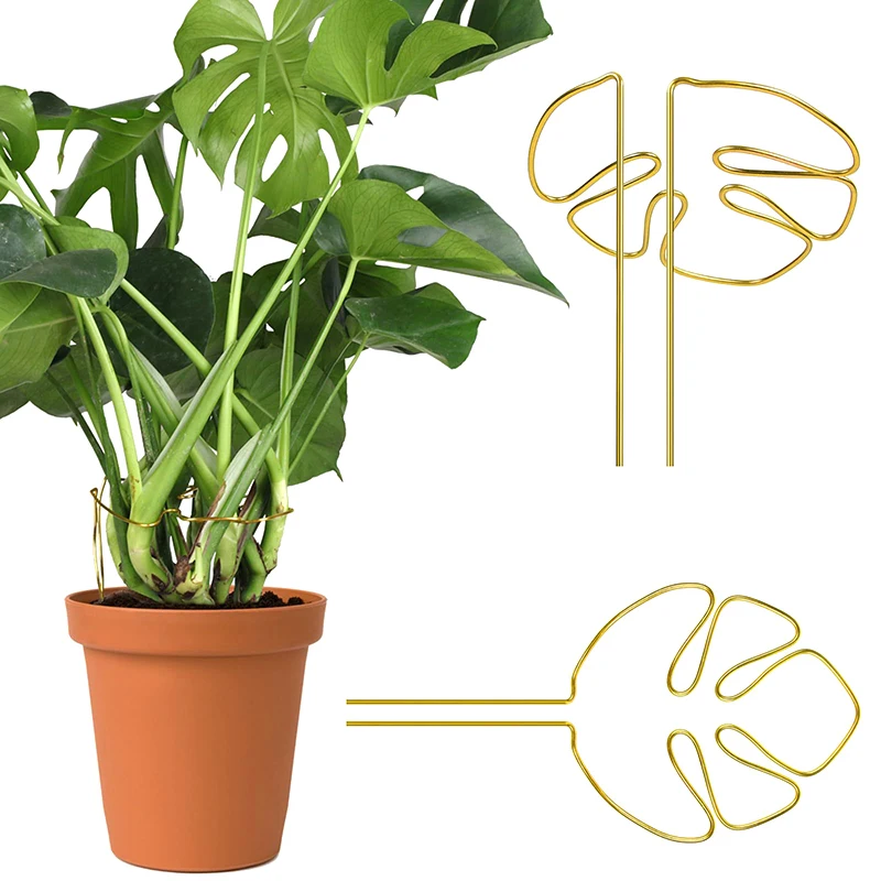 

2Pcs Plant Stem Support Iron Monstera Plant Support Plant Stem Holder Support Bamboo Clamp For Plants Stabilization