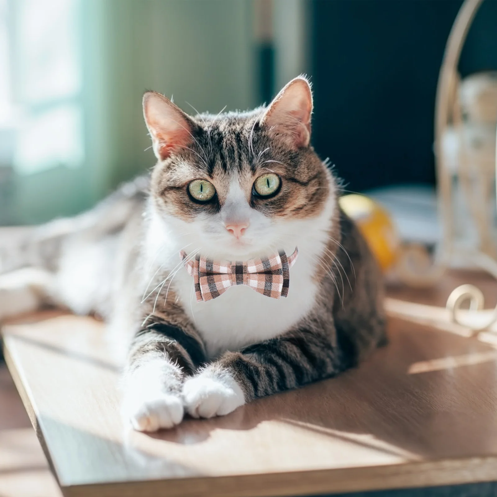 

1 pc Pet Collar Adjustable Plaid Pattern Dog Collar Christmas Party Kitten Bow Tie Removable Bow Comfortable Necktie