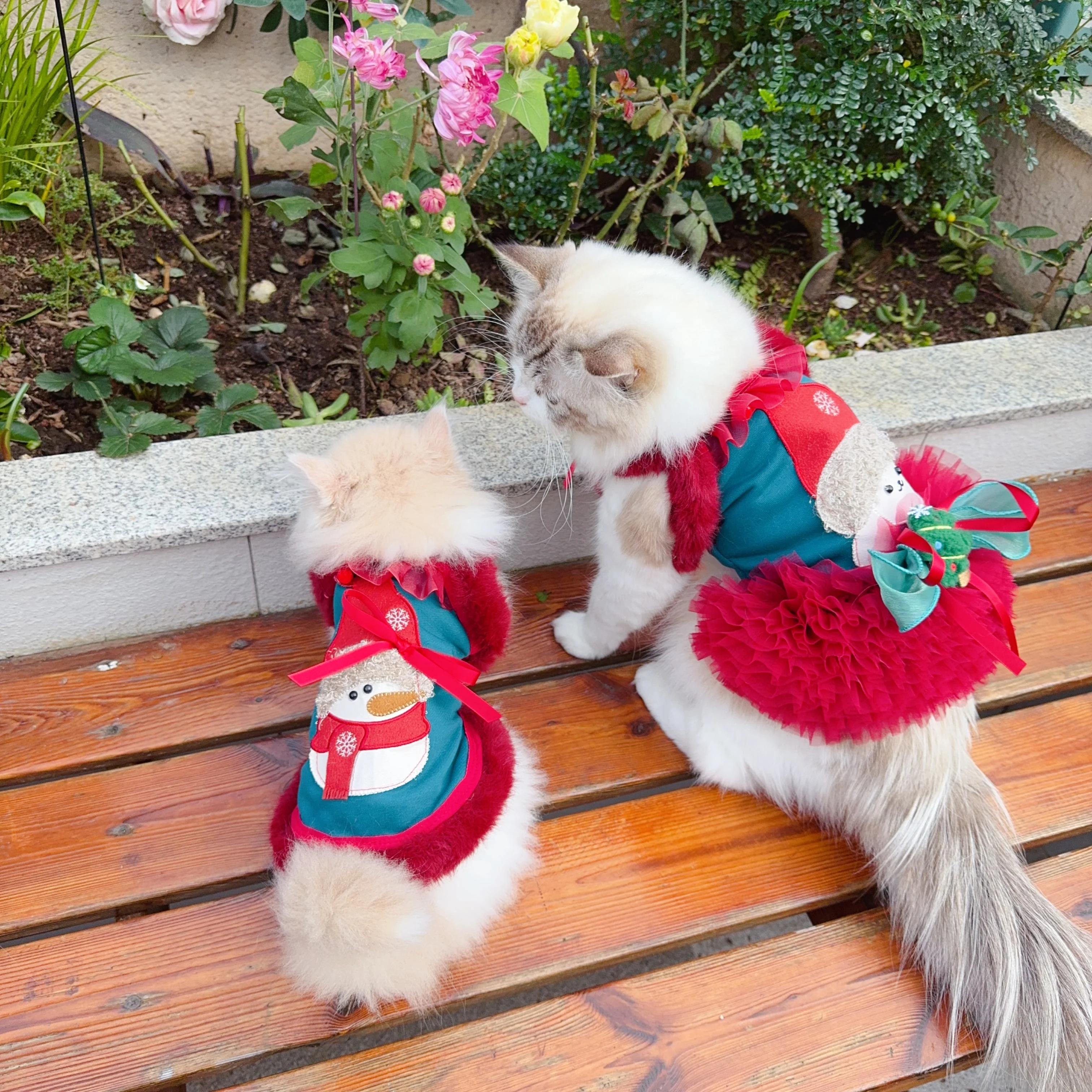 

Красно-зеленая рождественская одежда для собак, осень-зима 2025, новое теплое хлопковое платье на бретельках с принтом для маленьких и средних собак, жилет для щенков, юбки