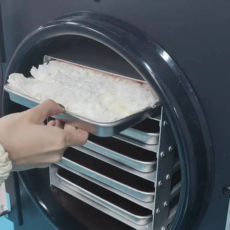 6 كجم التحكم الرقمي مجفف التجميد المنزلي سهل الاستخدام صغير فراغ مجفف بالتجميد مضخة ضاغط والعتاد التلقائي لتجهيز الأغذية