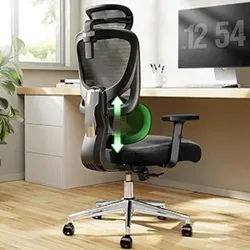 Silla de escritorio ergonómica para oficina, asiento gaming con soporte lumbar ajustable, color negro