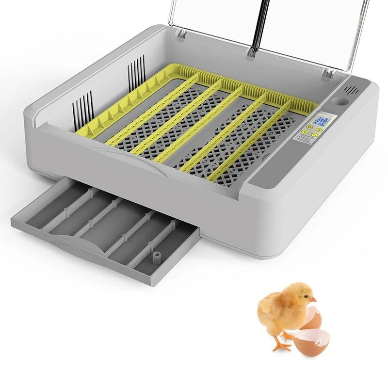 Incubator Small household type chicken, duck, goose, bird and poultry climbing pet egg incubator Full automatic temperature