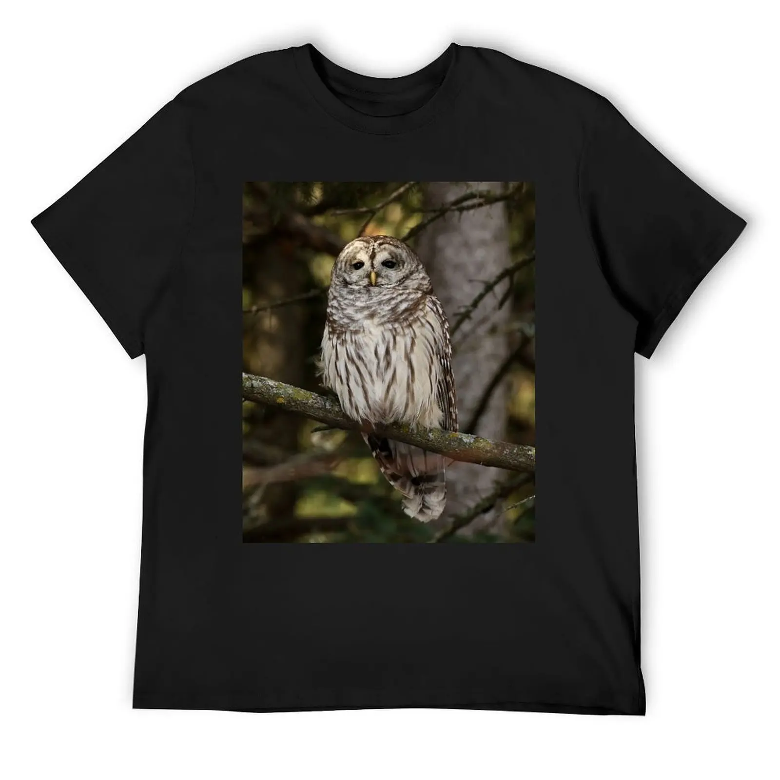 Marbled eyed beauty (new video in description) T-Shirt custom shirt plus sizes vintage t shirt men