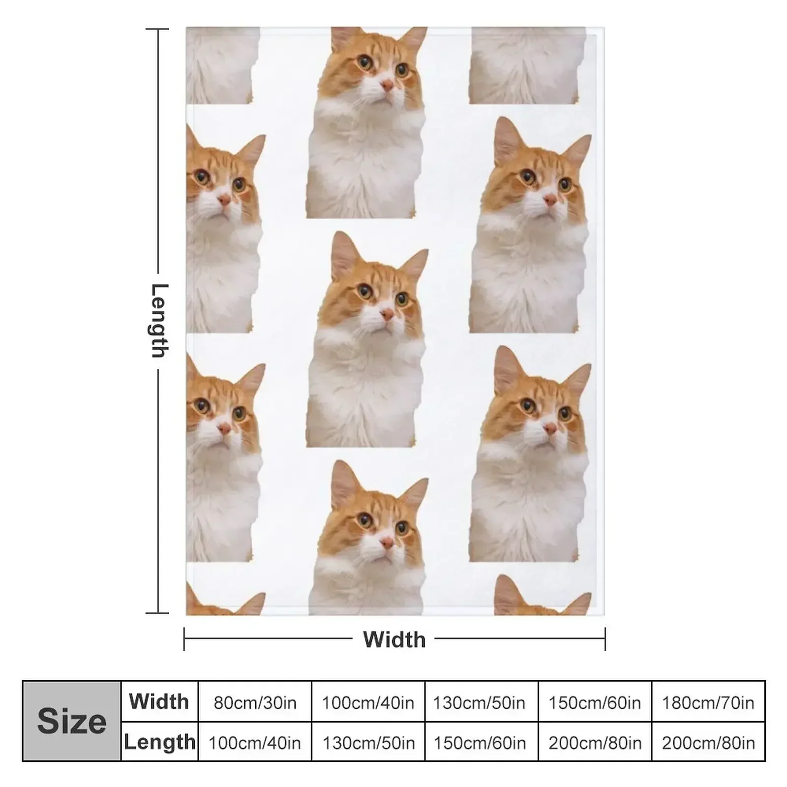 New Handsome Ginger Cat Throw Blanket couch cozy soft plush fuzzy picnic outdoor blanket