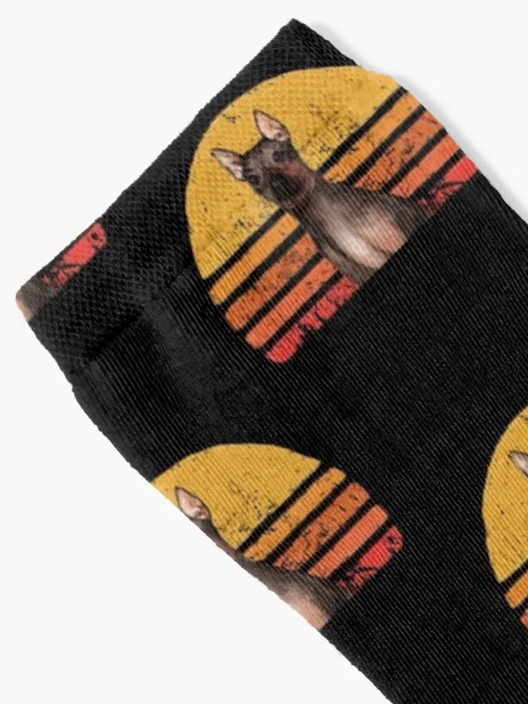 American Hairless Terrier Vintage, Retro American Hairless Terrier Sunset, American Hairless Terrier Mom, Hairles Socks