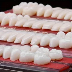 Dientes postizos de resina sintética para dentadura, nuevo estilo, 56 piezas, para Halloween