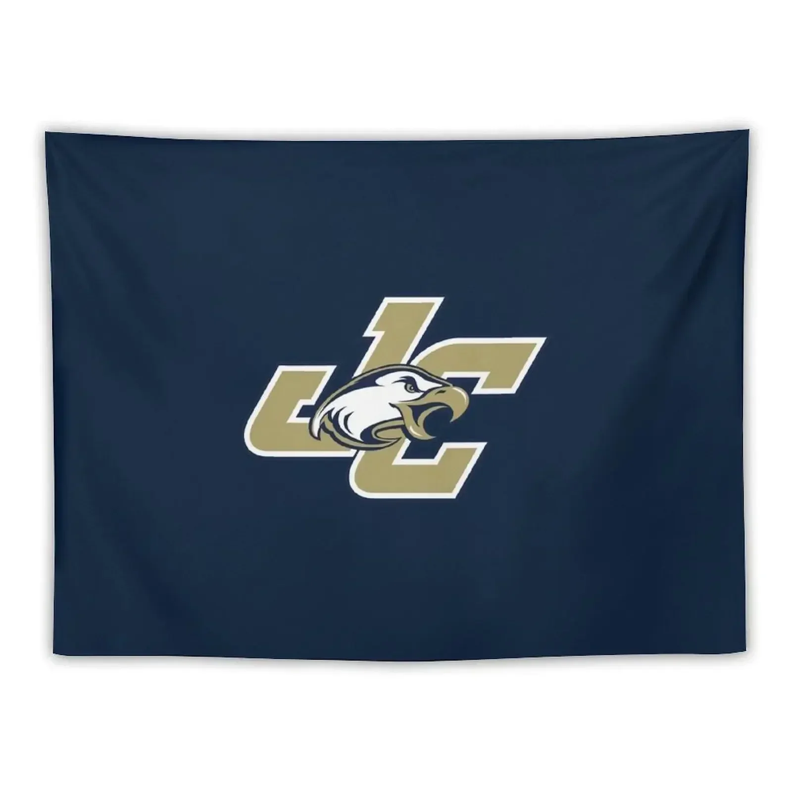 

Eagles Juniata Tapestry Decorative Wall Room Decoration Korean Style Room Decorations Aesthetics Tapestry
