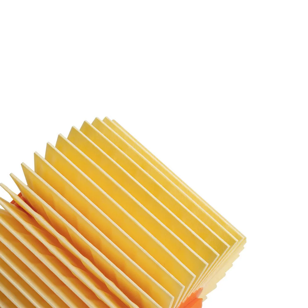 Моющиеся фильтры для пылесосов Karcher MV4 MV5 MV6