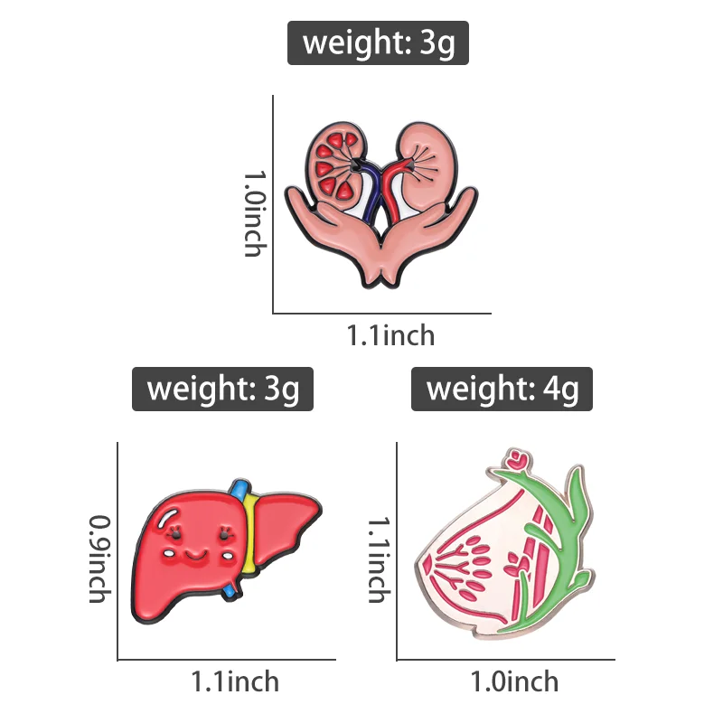 Niestandardowe piersi nerka wątroba emaliowane szpilki organy broszka przypinki na klapę plecak kapelusz biologia anatomia biżuteria medyczna