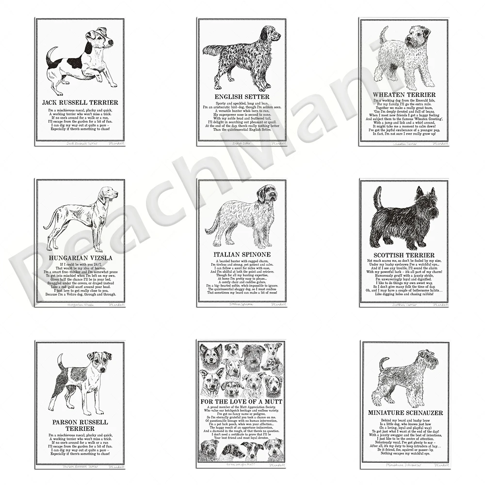 Mongrel and Mixed Breed, Schnauzer, Parson Russell Terrier, Wheaten Terrier, Jack Russell Terrier animal poster illustration poe