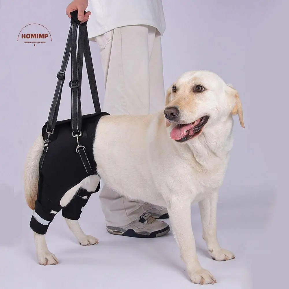 

Legs Hip Support Dog Lift Harness Adjustable Sturdy Handle Dog Rear Leg Support Reflective Strip Breathable Pet Aid Assist Tool
