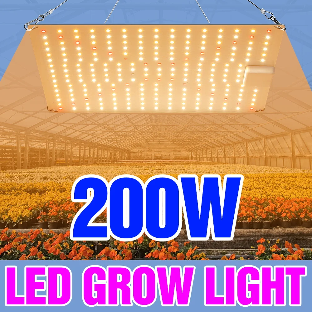 

200W Full Spectrum Plant Grow Light LED Quantum Board Vegetables Cultivation Lamp 220V Greenhouse Tent Hydroponic Fill Lighting