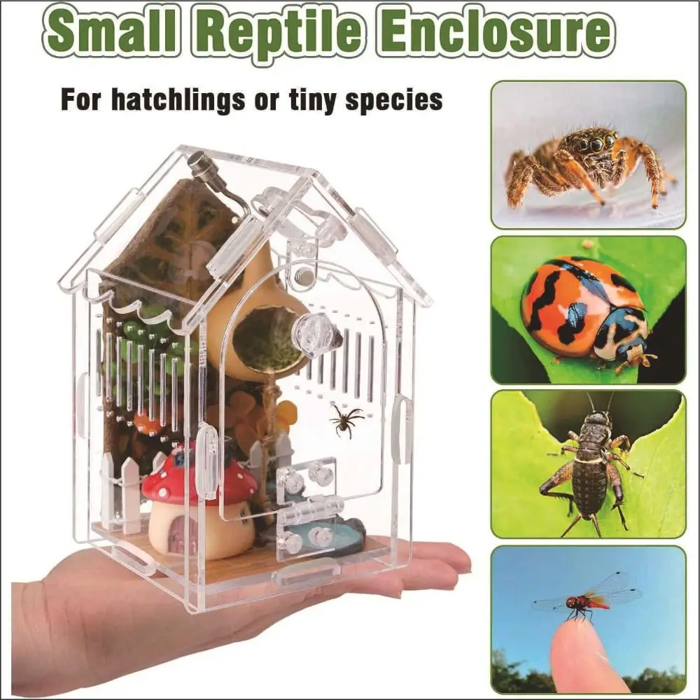 Portable Jumping Spider Enclosure Removable Front Opening Tarantula Terrarium Acrylic Transparent Praying Mantis Enclosure Frog