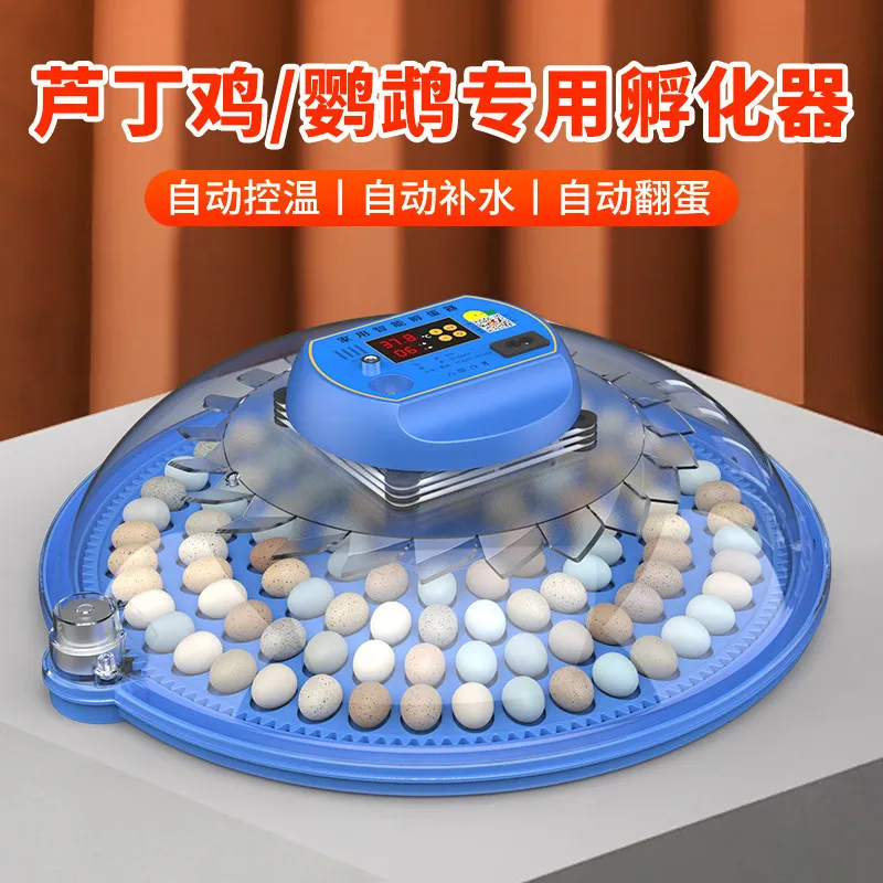 

33 eggs Single/double Electricity, Small Household Fully Automatic Intelligent Chicken Egg Incubator