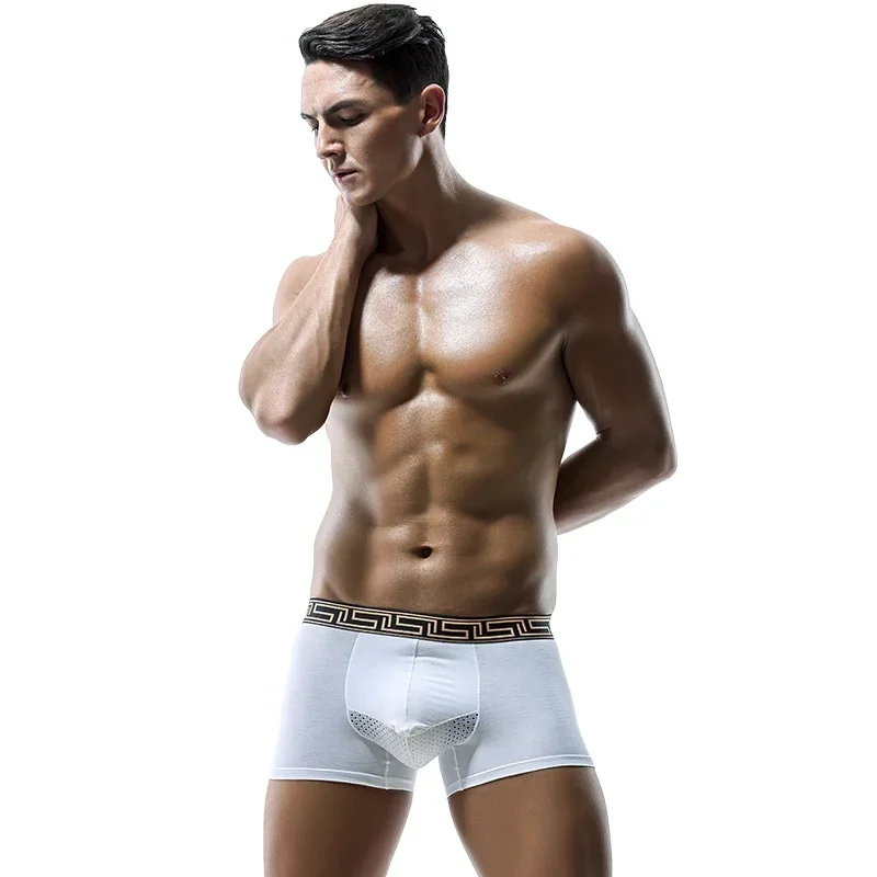 

5PCS Summer Men's Underwear, Micro-Phant Nose Underwear, Ice Silk Breathable Mesh Boxer Briefs, U-Convex Large Size Boxer