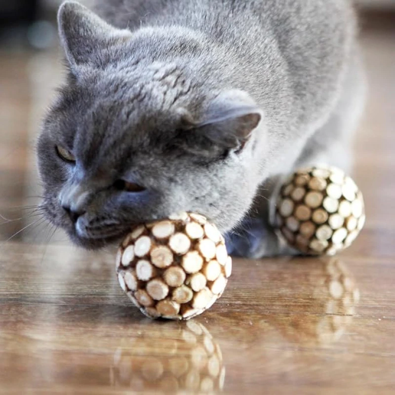 Silvervine Ball und Silvervine Stick Kau-Kombi: Neue Katzenspielzeuge zur Zahnreinigung, entfernen Zahnstein, frischer Atem für Katzen und Kätzchen, Zahnpflegeprodukte – Detail 3