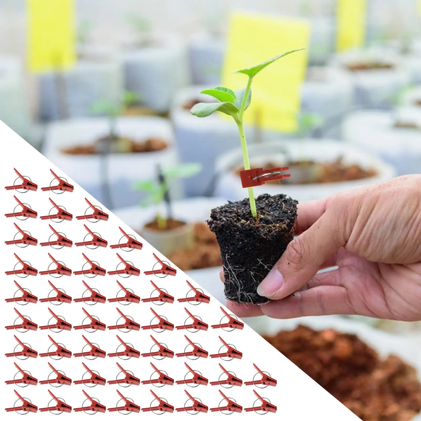 Grafting Clips For Tomatoes Pack Of 50 Plant Fixing Clamp Falt Mouth Hooks Connecting For Vegetables Watermelon Gardening Tool