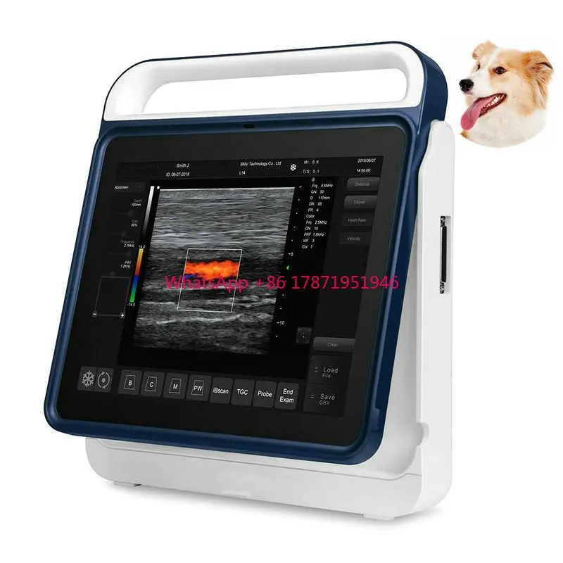 PT50A full touchscreen color doppler easy scan usg ultrasound vet portable