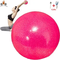 15/18cm Rhythmic Gymnastic Ball Training Ball with Net and Air Needle for Dance Practice Performance Exercise Competition