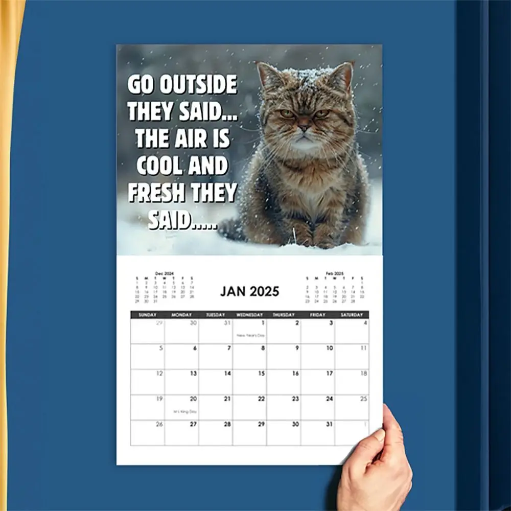 Funny Kawaii 2025 Pissed-Off Cats Calendar Cat Lovers Cute Can Be Celebrated Creative Agenda Organizer Office Supplies