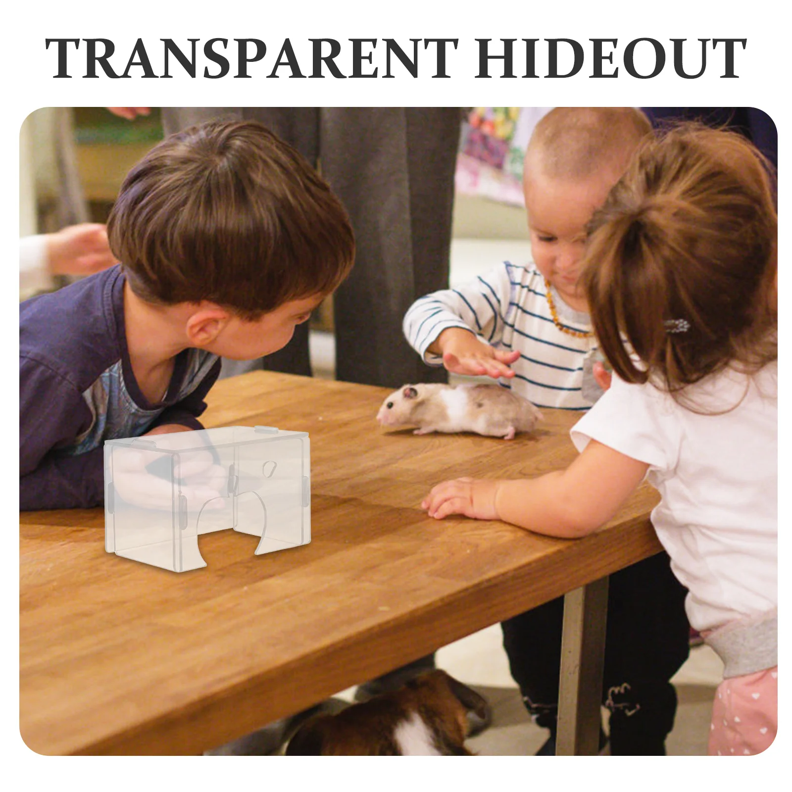 

5pcs 5 Pieces Guinea Pig Hut Clear Acrylic Small Animal Hamster Hideaway Hideout