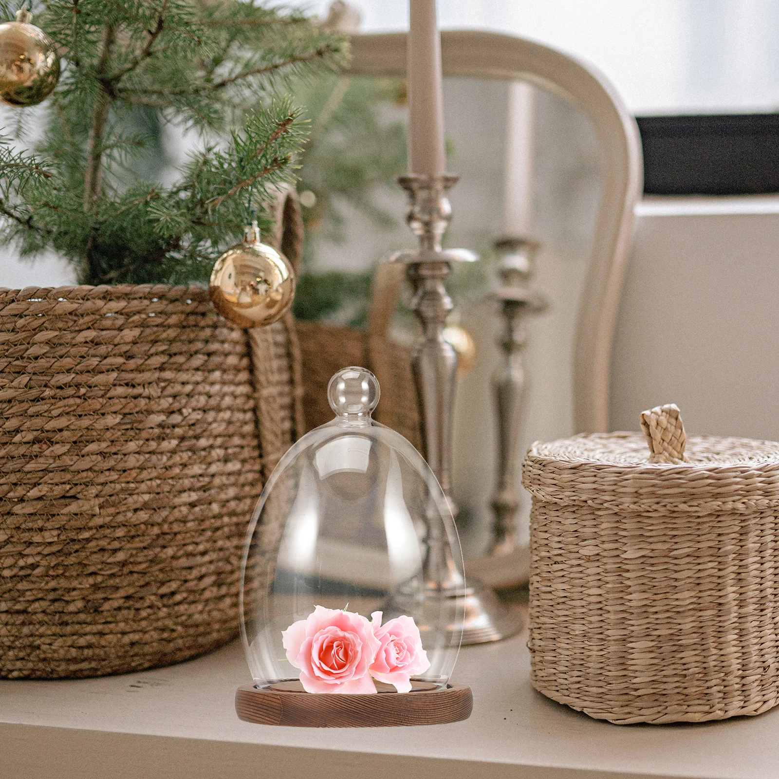 

Egg-Shaped Glass Dome Clear Display Dome Wood Base Preserved Flower Cover Creative Decorative Display for Desktop Landscape Vase
