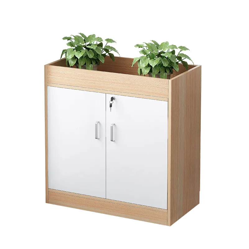 

Картотека Офис Простой современный офисный шкаф Низкая перегородка шкафа Архив данных Практичная цветочная канавка