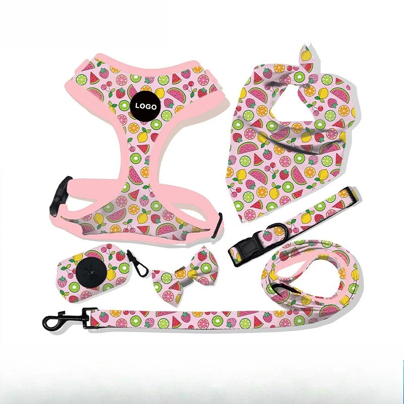 il-completo-di-imbracatura-per-cani-include-gilet-collare-guinzaglio-fazzoletto-sciarpa-borsa-per-cacca-accessori-per-set-di-forniture-per-cani-e-gatti
