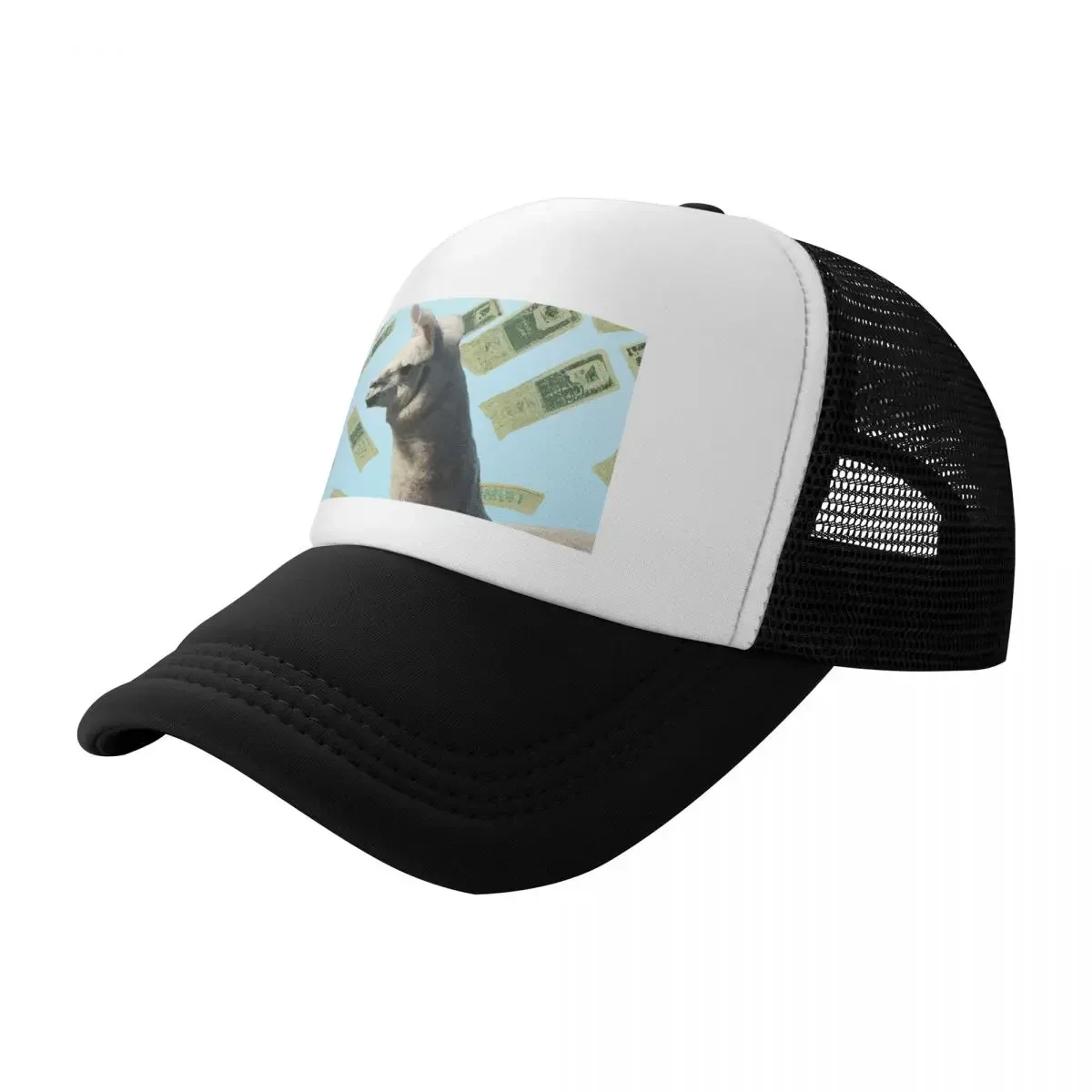 Raining Money on Llama Baseball Cap Designer Hat Fashion Beach Golf Cap Thermal Visor For Men Women's