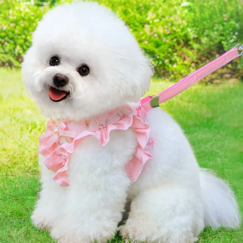 Verstellbares Hundegeschirr und Leine, Ausbruchsicher, Komfortables Hundeleine, Blumenmuster, Atmungsaktiver Hundegurt – Detail 3