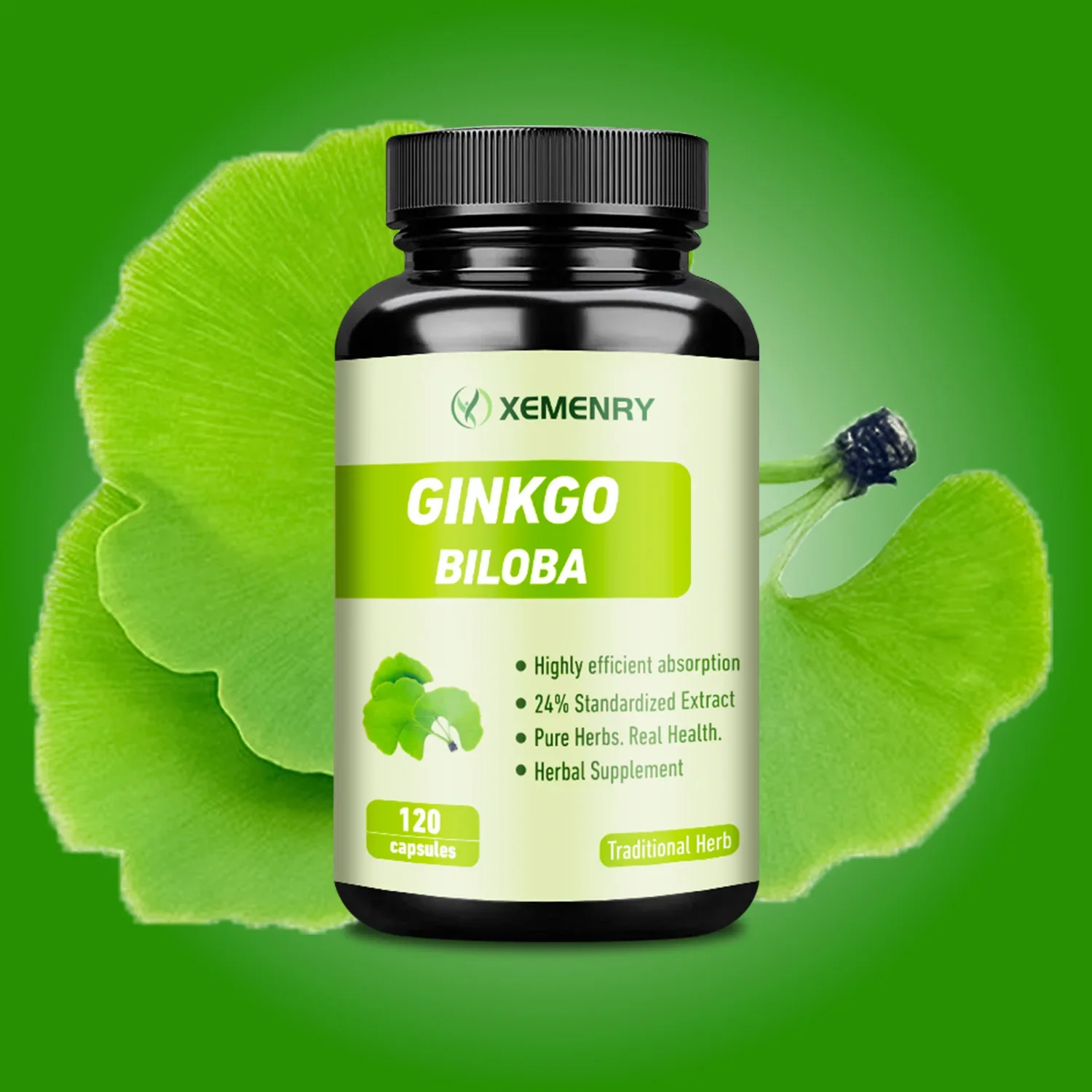 Ginkgo Biloba - Enhances Memory, Promotes Blood Circulation, and Improves Cognitive Function