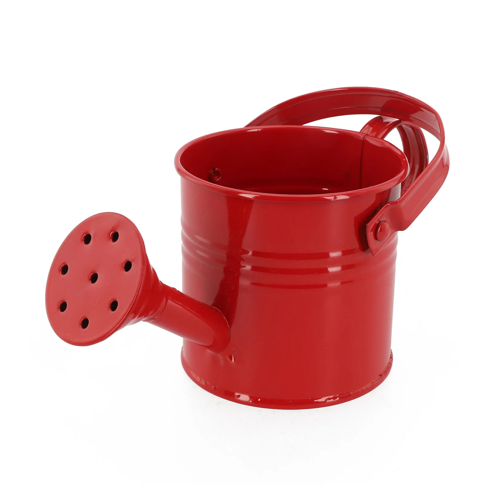 Reusable Metal Watering Can for Home Gardeners Seeking Reliable Controlled Water Delivery to Potted Plants and Ground-Level Beds