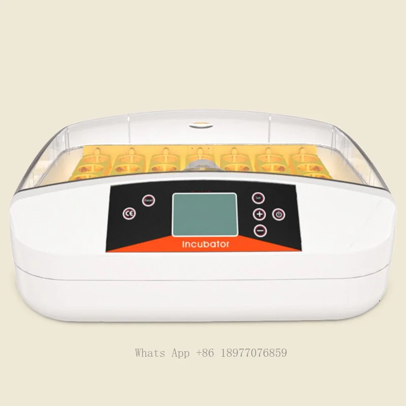 Hot Selling Pet Breeding Fully Automatic Incubator Small Electric Intelligent Home Constant Temperature Incubator