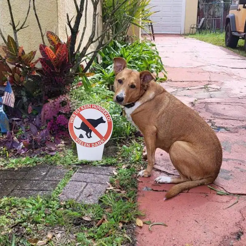 Dog Poop Signs For Lawn Waterproof No Dog Pooping Sign Eye-Catching Warning Novelty Gag Caution Yard Stakes For Home Garden