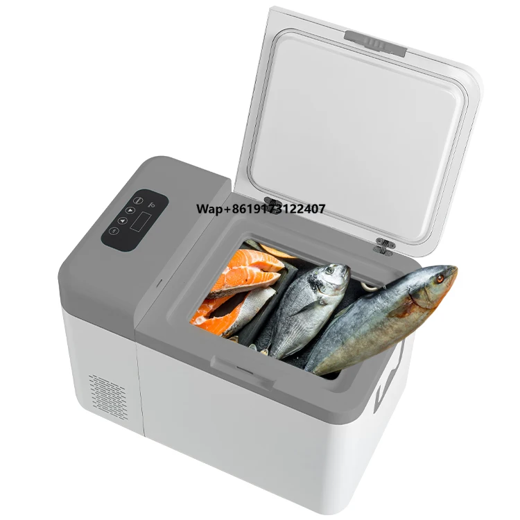 

12v -45 Degree Portable Ultra Low Temperature Freezer Small Refrigerator for Car