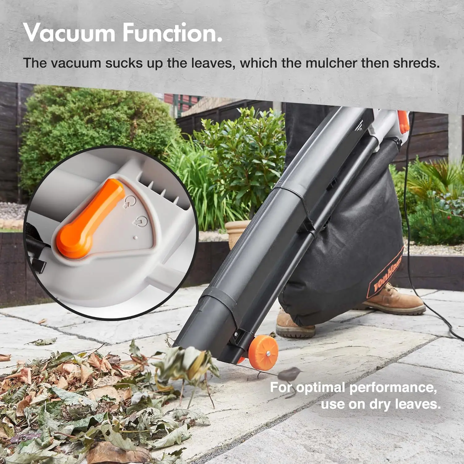 https://ae-pic-a1.aliexpress-media.com/kf/S7bced061e1a74dfa9fcda65925afd2a9k.jpg