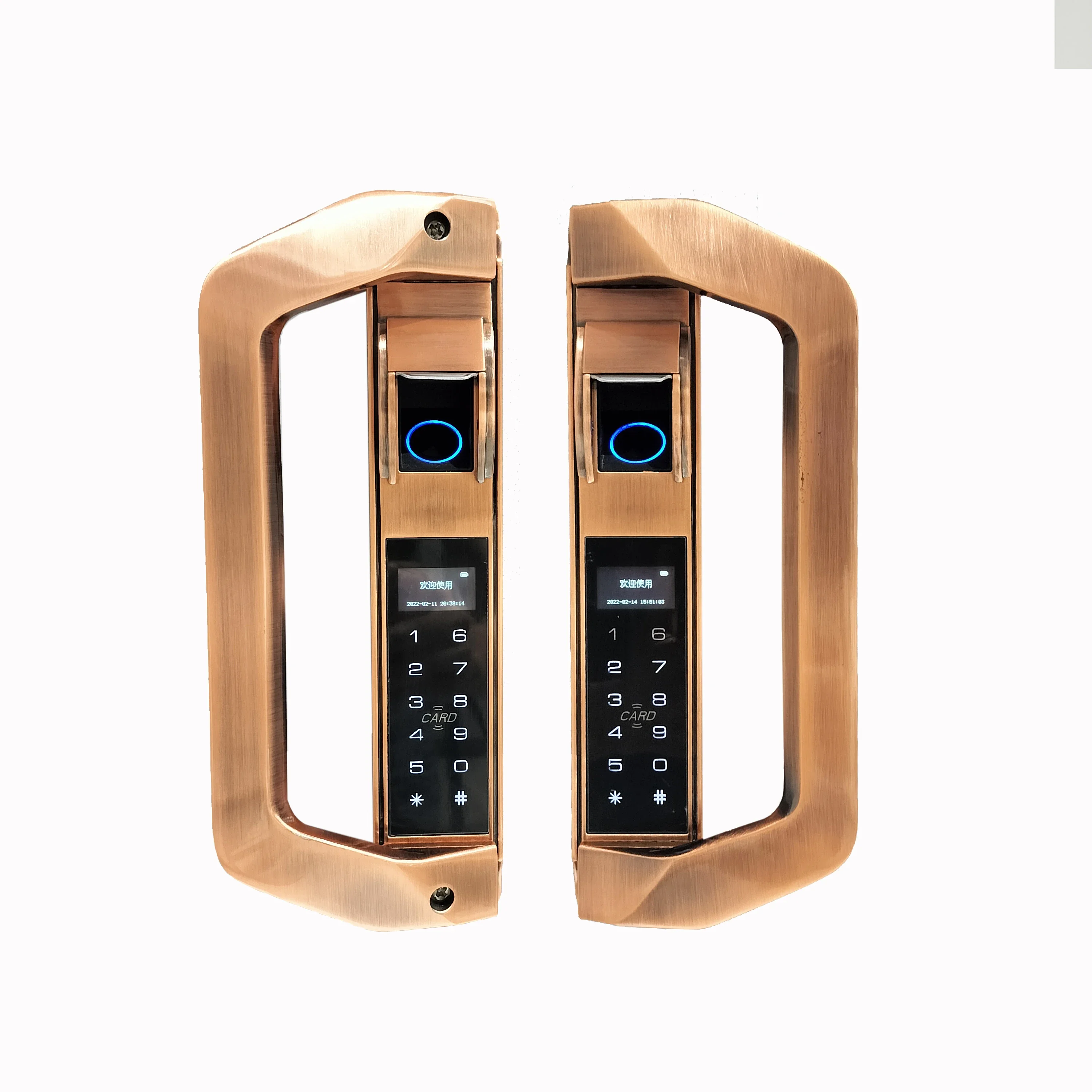 006Villa Outdoor Gate Waterproof Smart Lock Zinc Alloy Electronic Courtyard Fingerprint Automatic Intelligent Lock