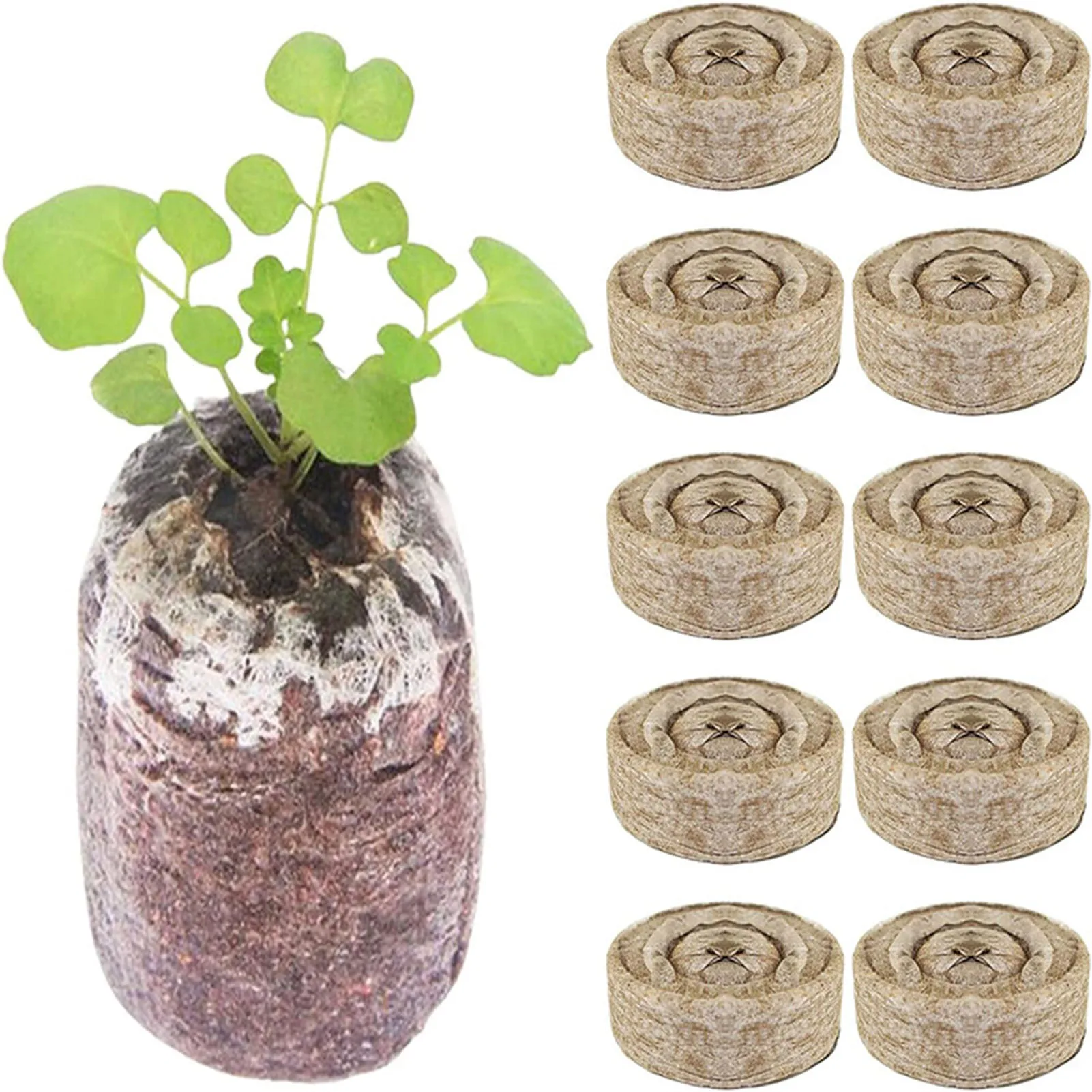 

Plant Planting Seedling Soil Garden Ventilation Growing Soil Blocks for Planting Fruits Vegetables