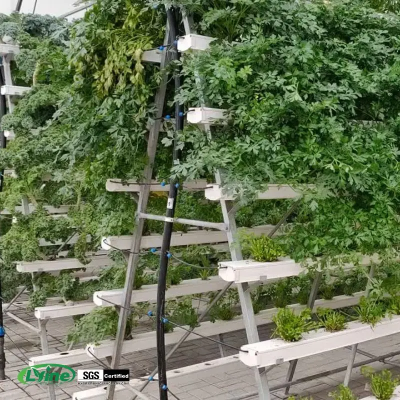 

Система гидропоники NFT для теплиц: Канальная система NFT для коммерческого выращивания листовой зелени и вертикального земледелия