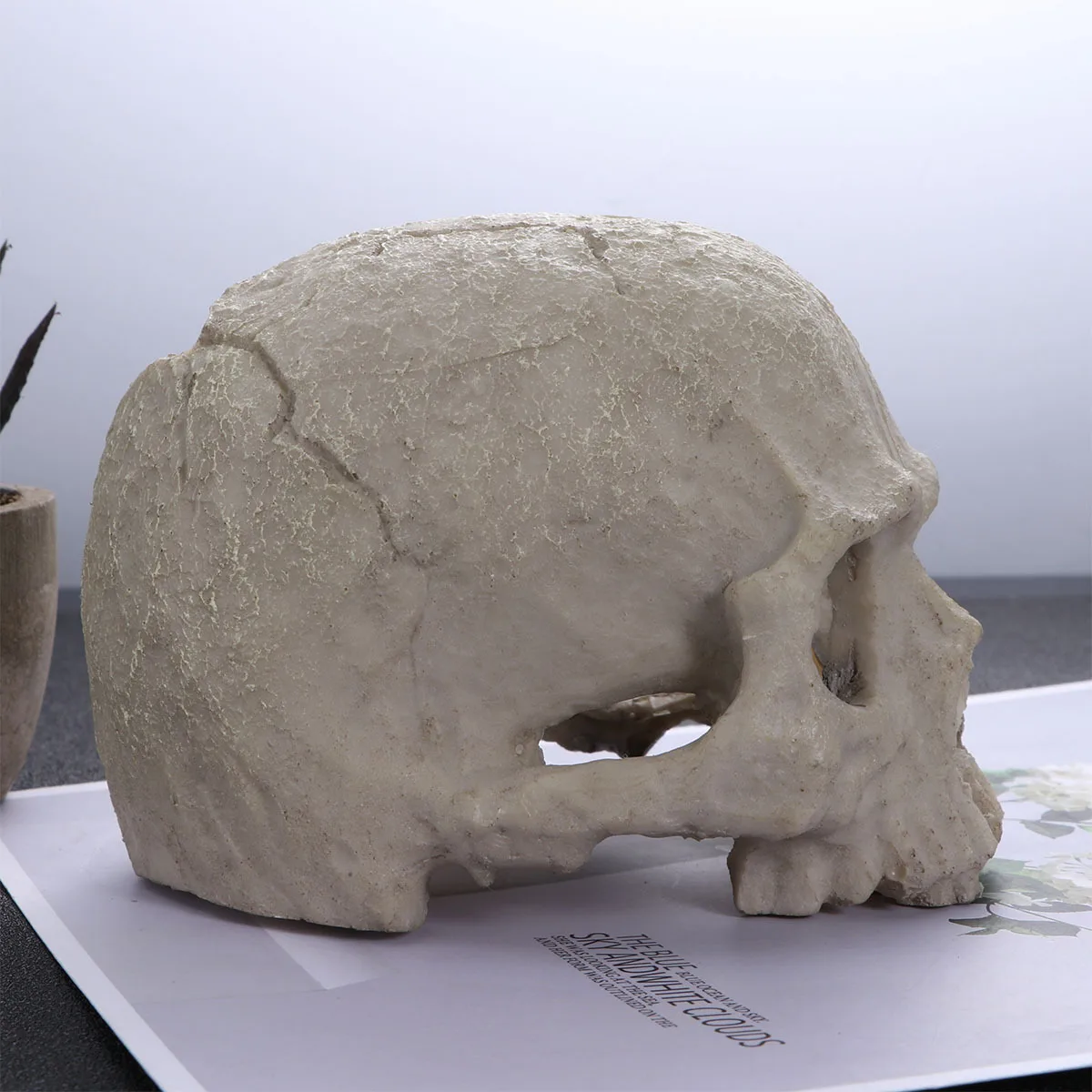 

Skull Fish Tank Aquarium Resin Skull Decoration Natural Habitat Prop Reptile Gift Fish Tank Props