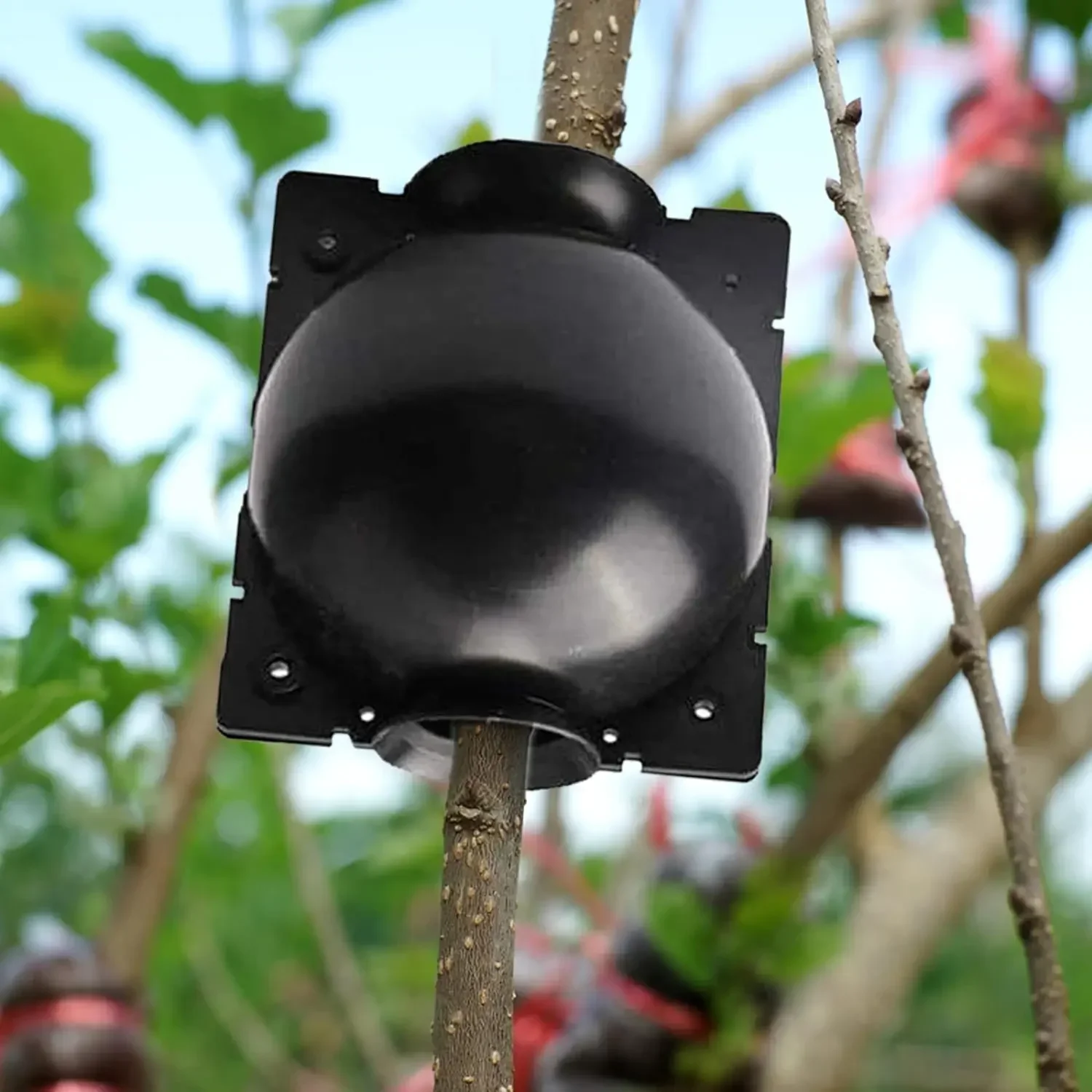 

10Pcs 5cm Plant Rooting Ball High Pressure Graft Breeding Box Propagation Jardinage Plant Root Pot Garden Accessories