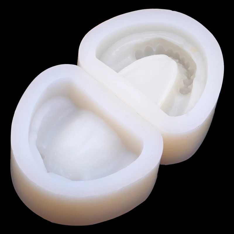2pcs Dental Standard Silicone Plaster Model Mold Complete Cavity Block Full Teeth Half Teeth Dentistry Lab Materials