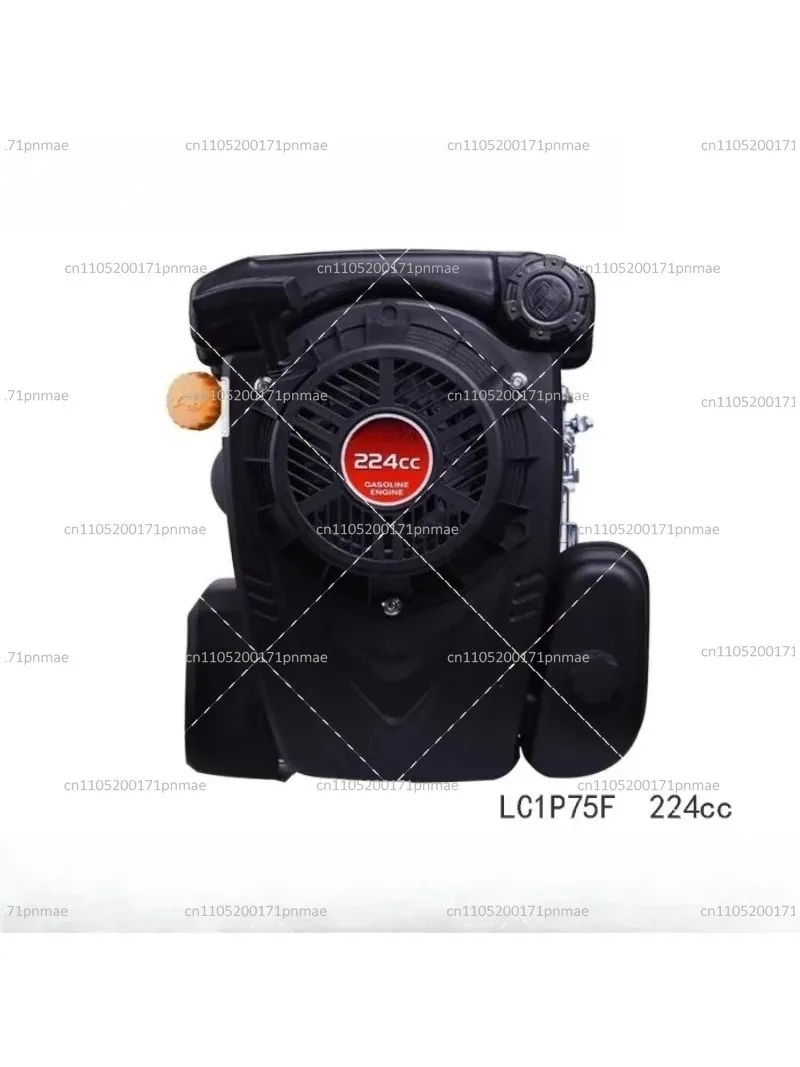 Vertical Shaft Engine 196cc 224cc Remote Control Lawn Mower for Lawn Care