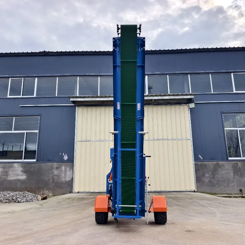 Yg Customized New D… - image