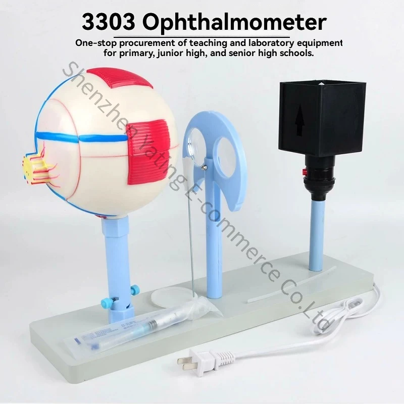 Human Eye Instrument Model 3303 Lens Curvature Variable Eye Imaging Structure Teaching Instrument Experimental Equipment