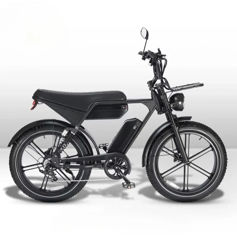RRE Occidental V8 PRO 24 inch electric bicycle fat tires 50 km/h speed 1000 watts power 48v steel lithium battery adult purchase